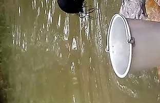 XXX कृपया त्याची पत्नी सह vibrator