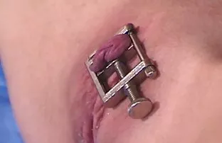 XXX जिज्ञासू तरुण lesbians मांजर probed करून निरनिराळ्या भाषा