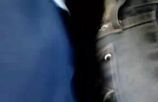 XXX प्रौढ समलिंगी संबंध ठेवणारी स्त्री licks केसाळ तरुण pubis