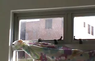 XXX झवणे एक चिक माणूस आणि पूर्ण तोंड पाठविले हजामत तिच्या पुच्ची