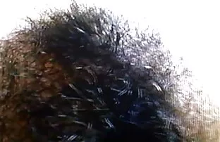 XXX गरम बॉस शिक्षा fuck my लेखापाल