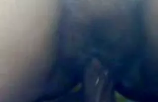 XXX Pycnopodia पत्नी
