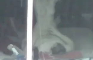 XXX जुना पूच्ची वापरते त्याच्या अधिकृत स्थान